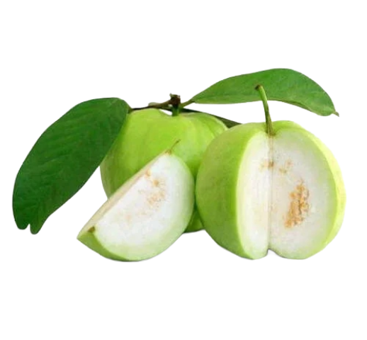 Guava
