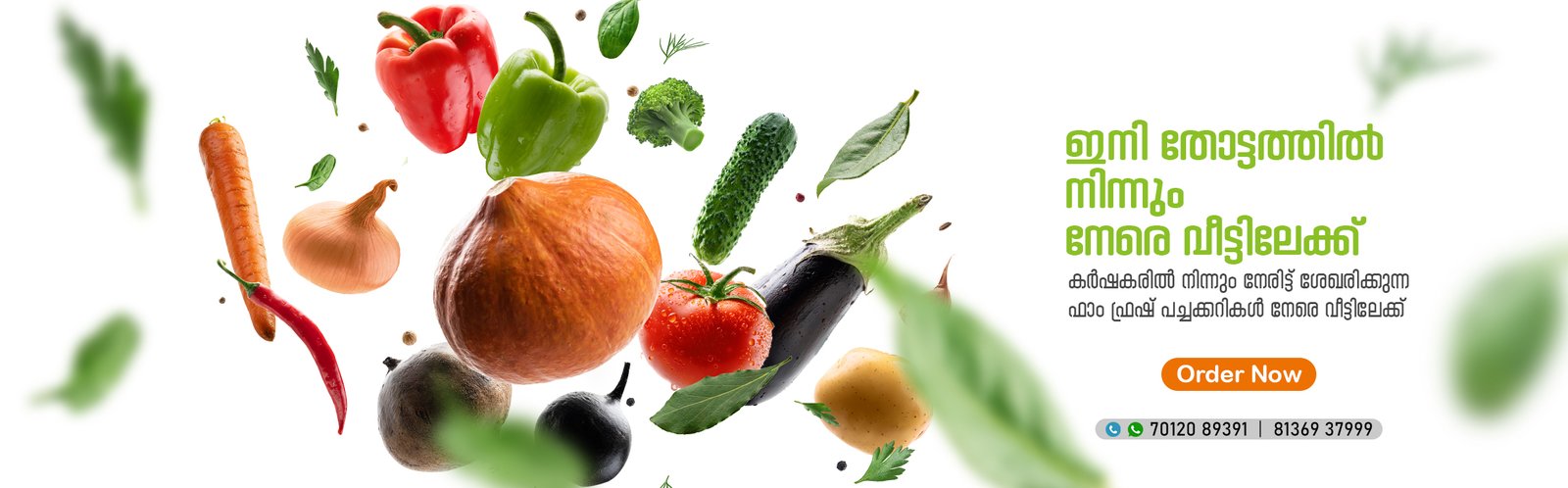 Vegetables door delivery near me, Vegetable store near me, Fresh vegetables, Fresh vegetables near me, Vegetable store, Vegetable delivery, Online delivery