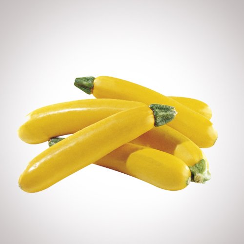 Yellow Zucchini