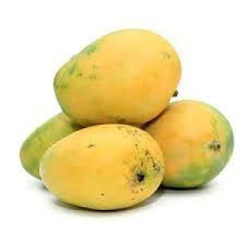Sappotta Mango