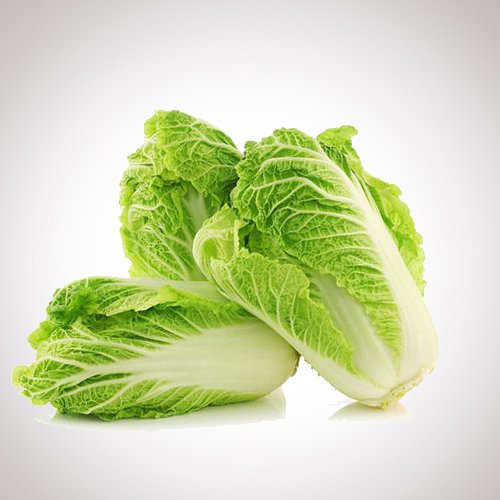 Chinese Cabbage