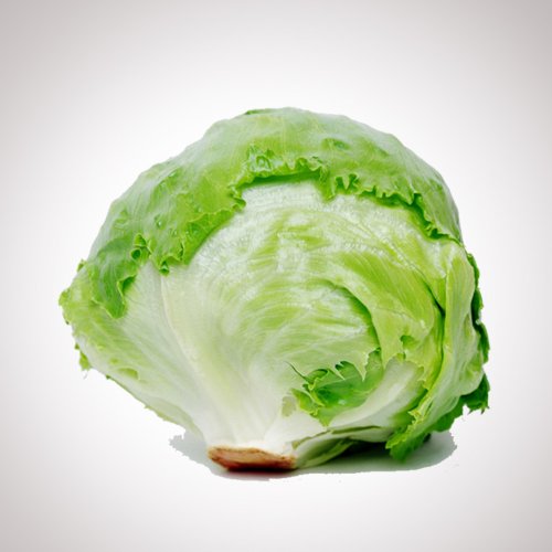 Iceberg Lettuce