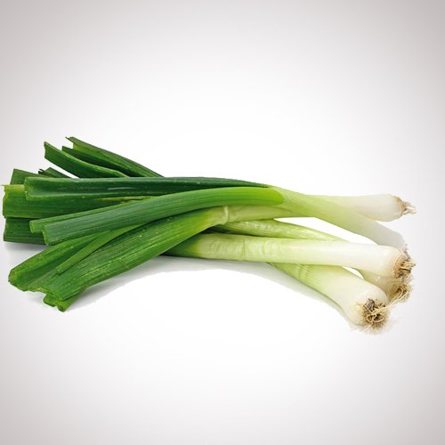 Spring Onion