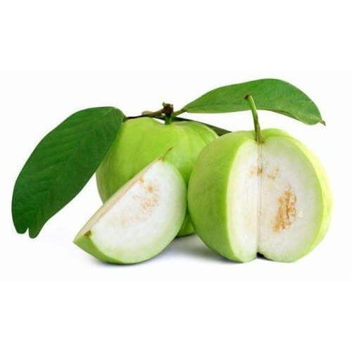 Guava