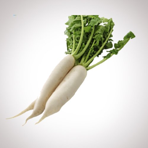 White Radish