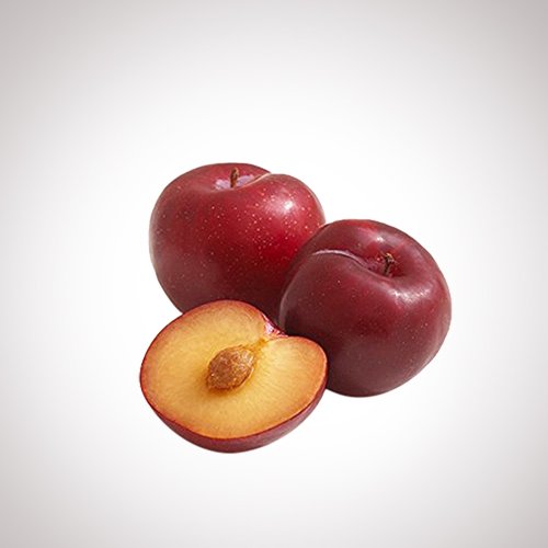 Indian Plum