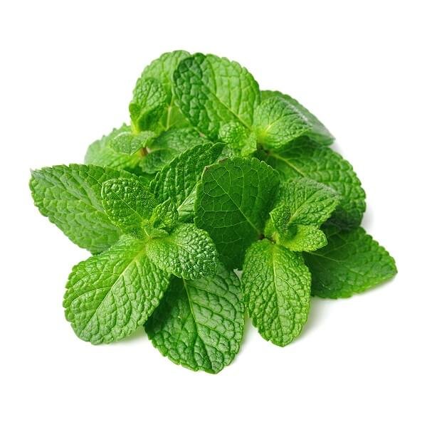 Mint leaves